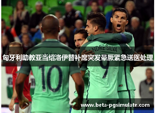 匈牙利助教亚当绍洛伊替补席突发晕厥紧急送医处理 匈牙利助教亚当绍洛伊替补席突发晕厥紧急送医处理