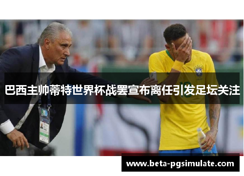 巴西主帅蒂特世界杯战罢宣布离任引发足坛关注 巴西主帅蒂特世界杯战罢宣布离任引发足坛关注